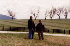 Drivers in Field
