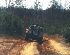 On the trail