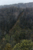 Hill climb viewed from Gas Wells