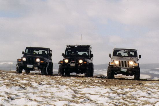 The Line-up