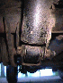 Shock lower mount