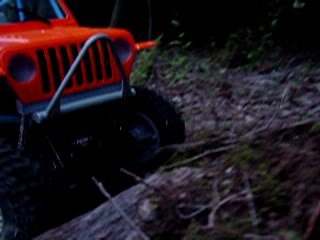 Movie: mov08612.mpg Crawling