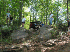 Trail 3 Obstacle