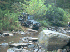 Paul Crossing 