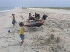 The Beach