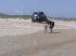 The Beach