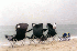 Beach Chairs