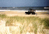 Jeep and Tom on the Beach