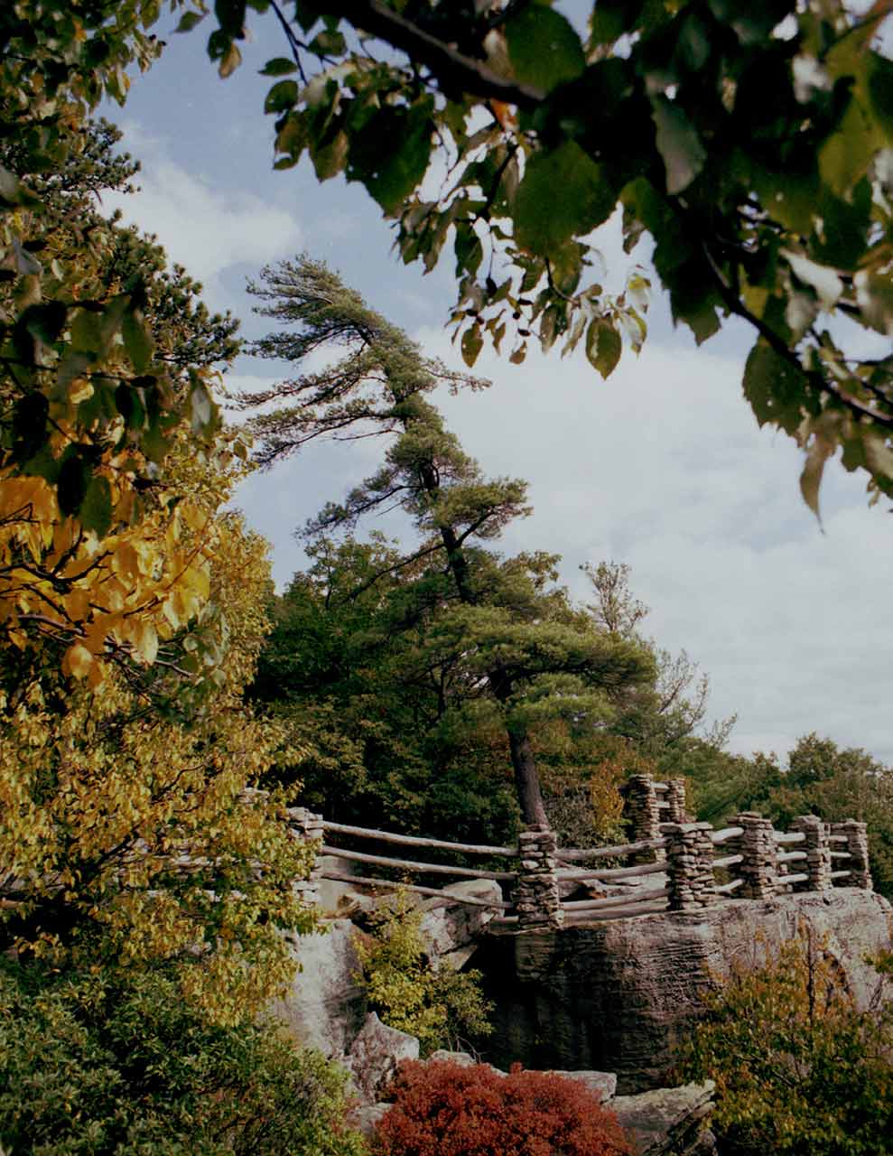 Click to Enlarge - Cooper Rock - (SMCFT 1:4.0/17mm)