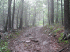 Old Long Run