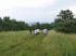 Break at the end of Old Long Run