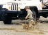 Ted the Mud Bogger