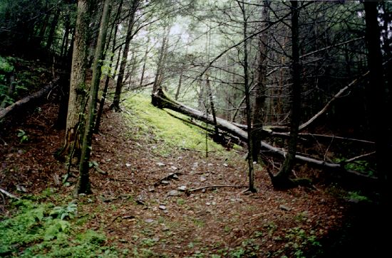 Scenery at Kephart