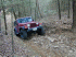 Roscoe on optional hill