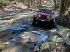 Roscoe on Old Long Run