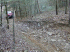 Roscoe on optional hill