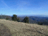 Flagpole Knob View