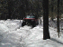 Trail