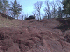 Disco Hill King