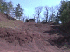 Disco Hill King