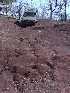 Descent