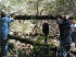 Trail Work