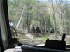 Horses on Trail