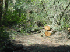 Trail Clean-up Results