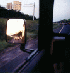 On the road home