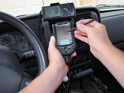 Palm in use