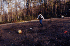Ted kicks the ball