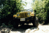 Mark's TJ