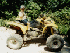 Teddy and ATV