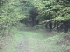 Trail