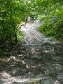 The Bypass
