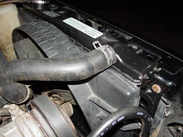 Radiator, Hose and Shroud