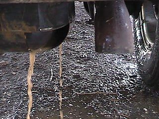 Rinsing factory skid plate