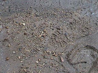 some of the debris removed