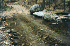 Shoe Creek