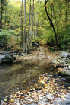 Shoe Creek