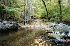 Shoe Creek