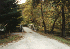 Shoe Creek Trail Entrance