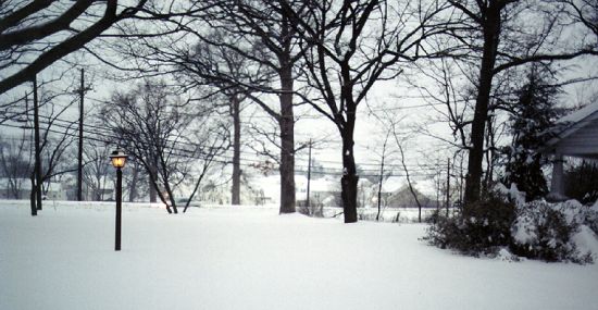 Driveway