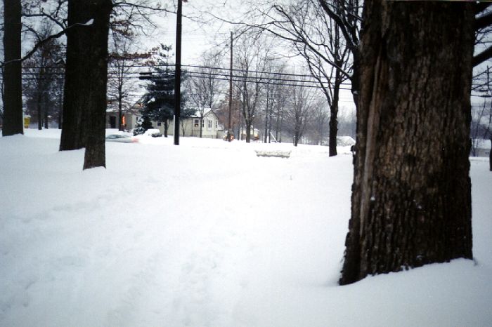 Driveway - Click to Enlarge
