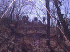 Trails-end