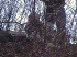 Trails-end