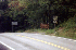 Wardensville Cooperative Wildlife Management Area
