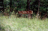 Tuscarora Trail Sign and Entrance