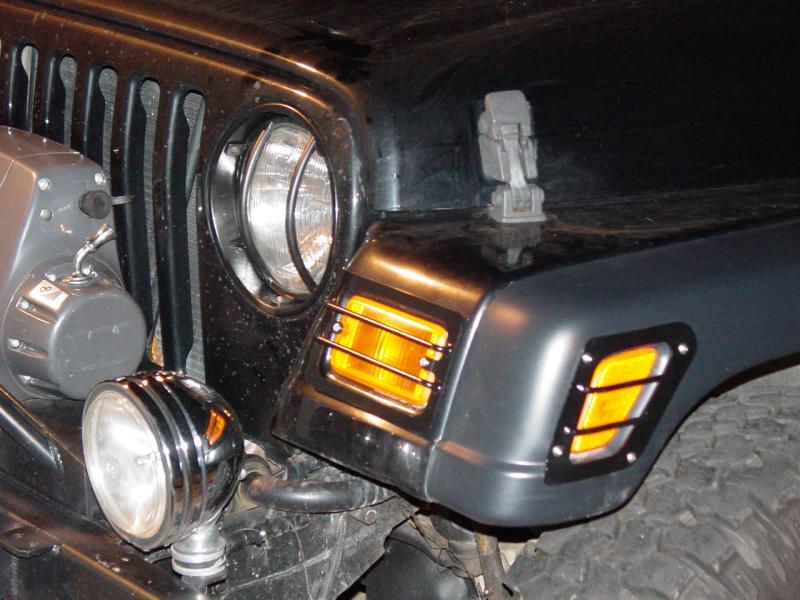 Turn Signal/Indicator Guards - Click to Enlarge