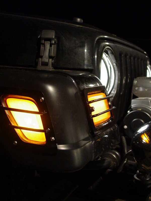Headlight and Turn Signal/Indicator Guards - Click to Enlarge